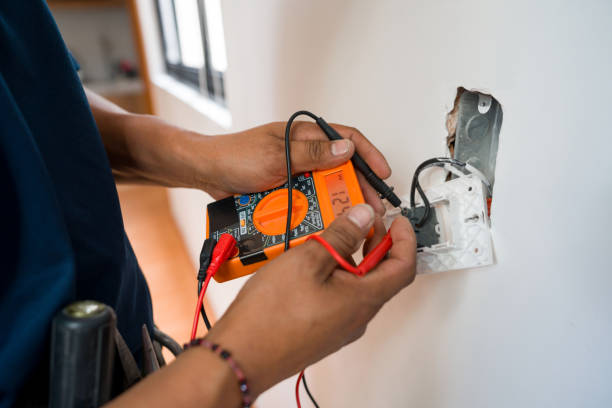 Best Electrical Troubleshooting Services  in Braidwood, IL